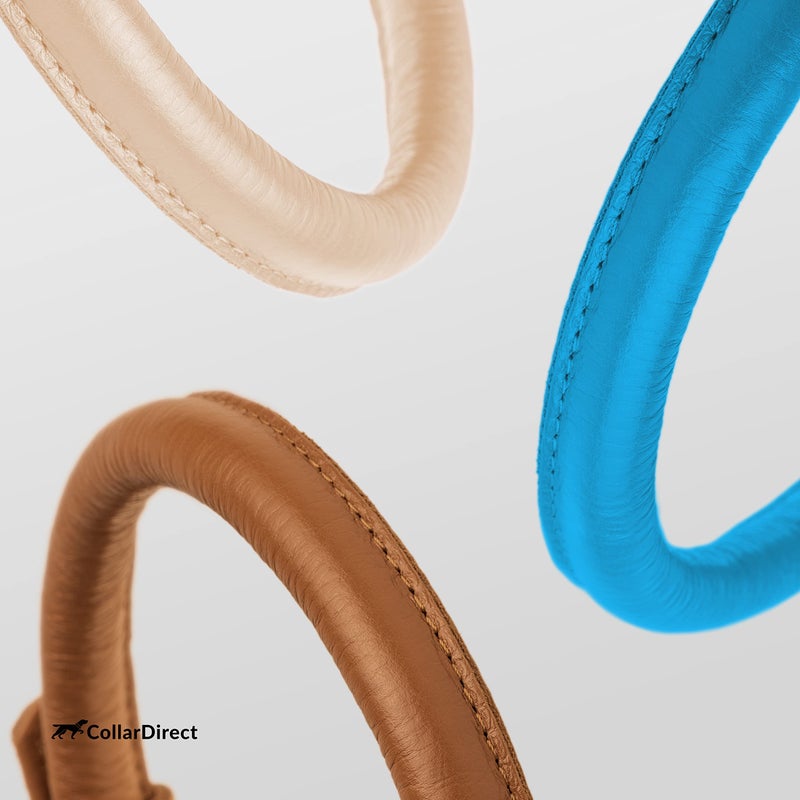 CollarDirect Rolled Leather Dog Collar, Soft Padded Round Puppy Collar, Handmade Genuine Leather Collar Dog Small Large Cat Collars 13 Colors (15-19 Inch, Light Blue Textured) - Image 5